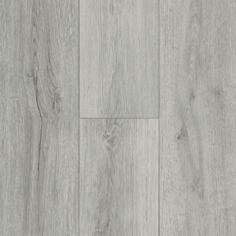 RWP Classic Plus - Dreams Fly