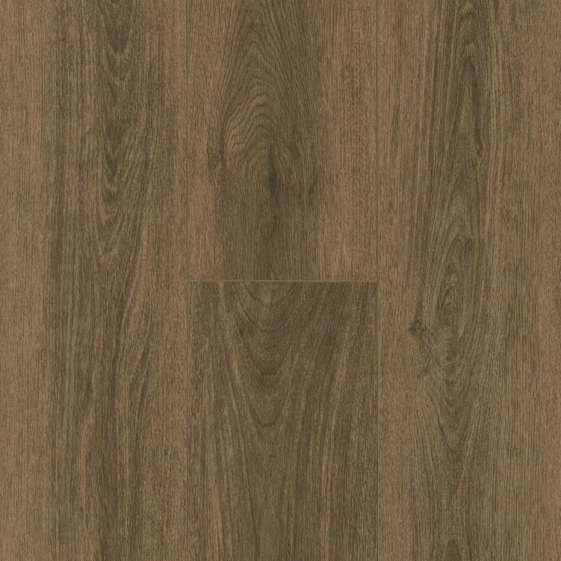 RWP Classic Plus - Friendly Trail