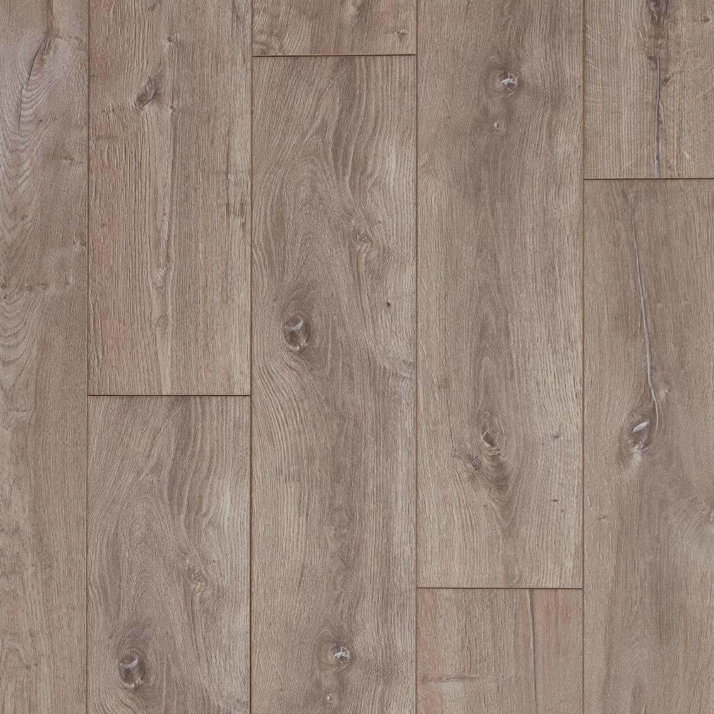 Amstelland - Paradiso