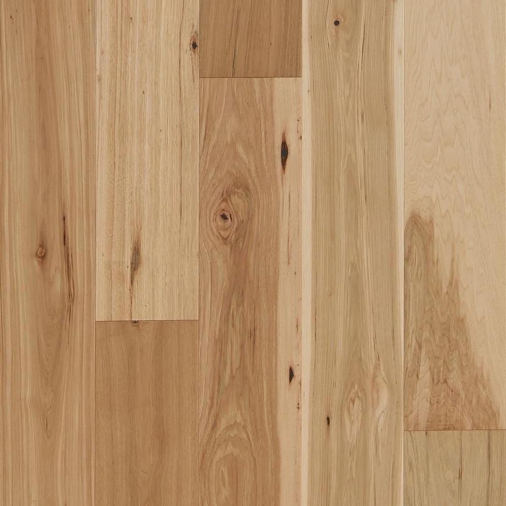 View Point - Mesmerize