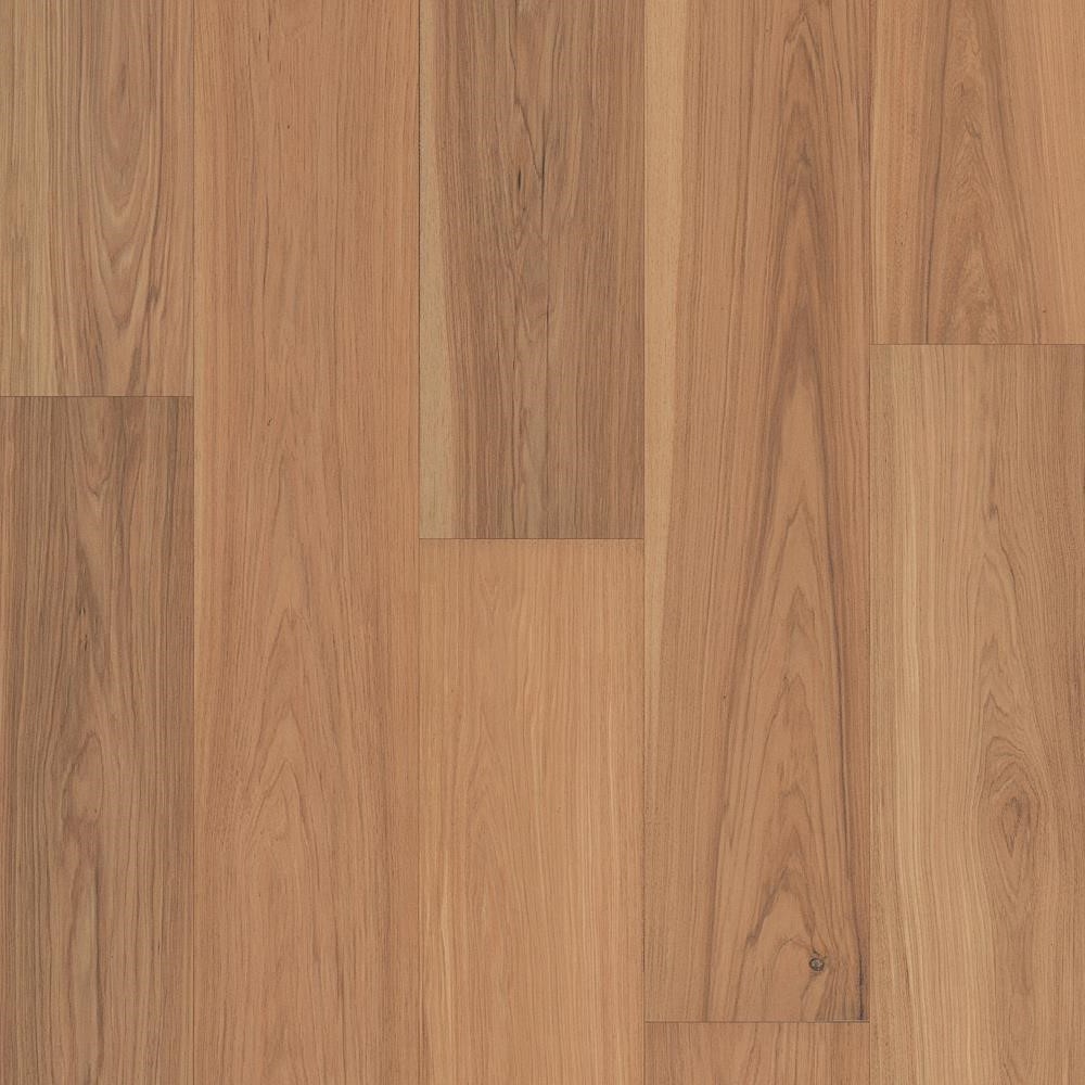 Sumida - Cherry Blossom