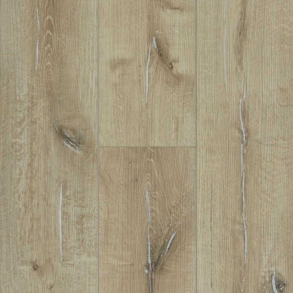 Standard - Almond Bee