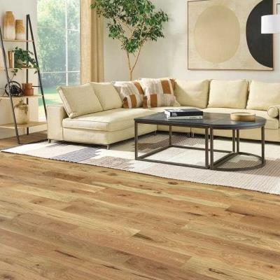 The Necessity Collection