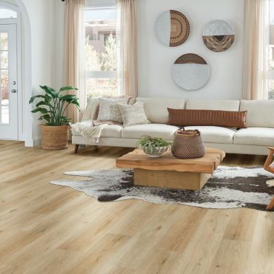 The Classic Plus Series