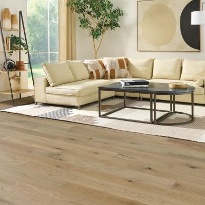 The Necessity Collection